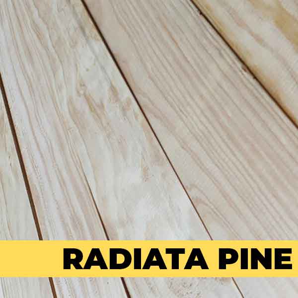 Radiata Pine – PalletXPert